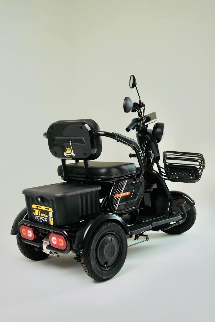 TRICICLO ELETRICO JOY 800W